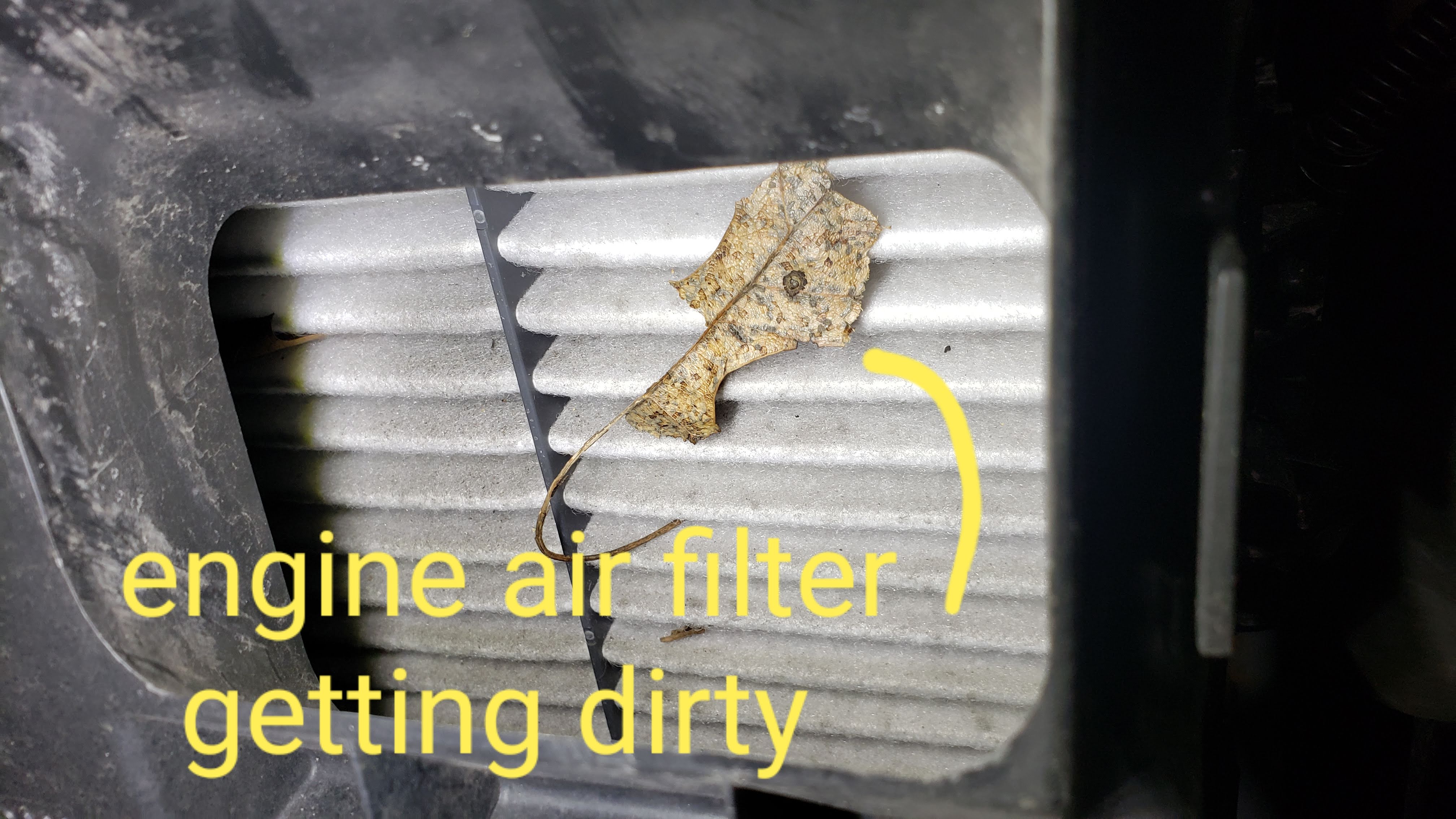 From Pollen to Road Salt: Protect Your Engine with a Clean Air Filter