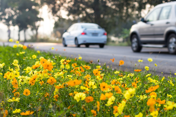 5 Essential Spring Car Care Tips