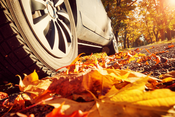 Can the Autumn Leaves Harm My Vehicle?